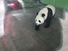 -石家庄市动物园