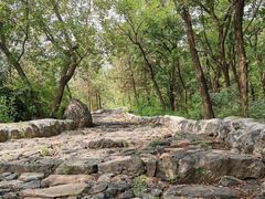 -阳台山自然风景区