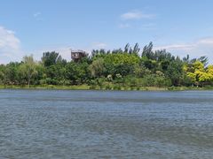 -东郊湿地公园