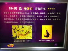 上海昆虫博物馆-上海昆虫博物馆