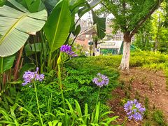 -重百超市(鲁能星城店)