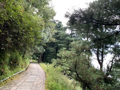 -苍山感通索道