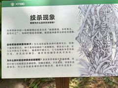 -中国科学院西双版纳热带植物园