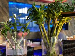 -暹罗酒肆泰餐厅酒吧