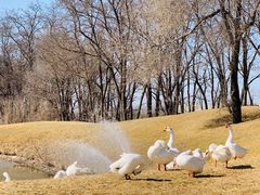 -北京野生动物园