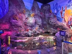 -沈阳海洋探索中心