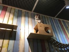 -小时光咖啡馆(开森度假森林店)
