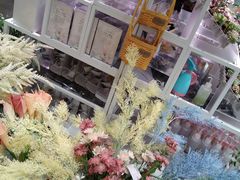 -KKV(上海月星环球港店)