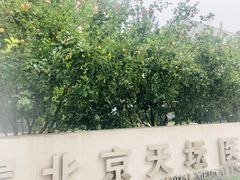 -首都医科大学附属北京天坛医院