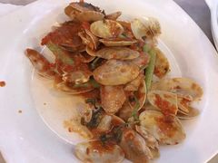 姜葱扇贝-大树下海鲜饭店