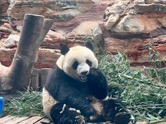 -石家庄市动物园