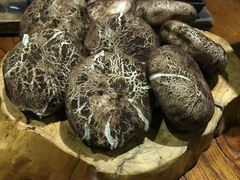 -食欲老院子荆芥疙瘩汤(经五路店)