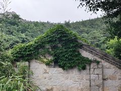 -无染寺