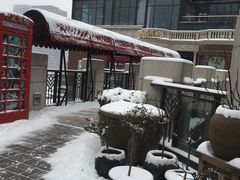 -瓦库茶馆17号(海汇港店)