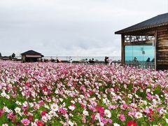-青海湖二郎剑景区