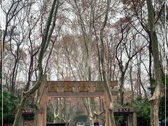 -灵谷景区