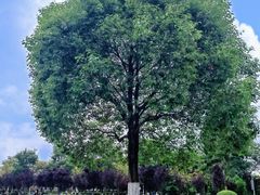 -成都中医药大学(温江校区)
