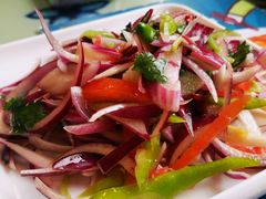 撒拉拌菜-撒拉花儿·新疆菜·清真(太阳宫店)