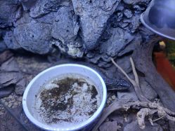 -酷嗒动物文化乐园(cutezoo西溪乐天城店)