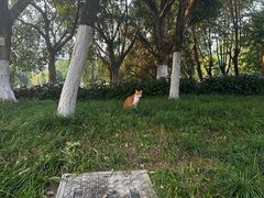 -映月湖公园