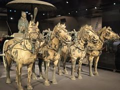 -秦始皇帝陵博物院(兵马俑)