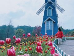 -铁山坪森林公园