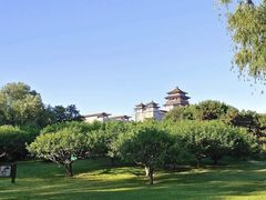 -莲花池公园