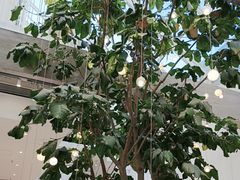 -大树餐厅(红旗街万达店)