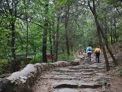 -阳台山自然风景区