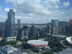 -正佳金殿维福顿公寓(广州正佳广场体育西路地铁站店)