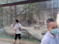 -灵玲国际马戏城