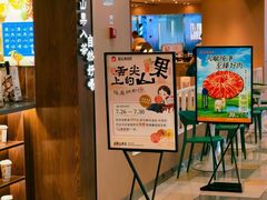-鹏欣水游城