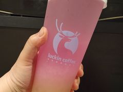 -瑞幸咖啡(东直门枢纽店)