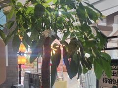-绿茶餐厅(哈尔滨凯德店)