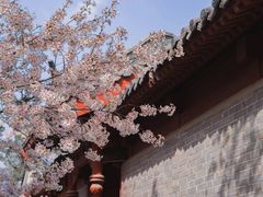 -中原农家乐(中原饭店)