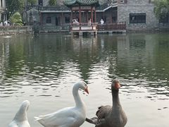 -东莞市可园博物馆