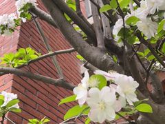 -福娃禧娃幼儿园