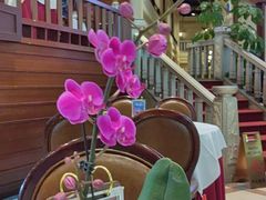 -金河半岛园林酒家(金融城店)