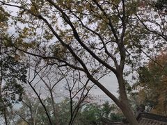 -白帝城·瞿塘峡景区