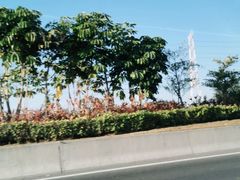 -JOYA湾悦国际酒店(世界之窗店)