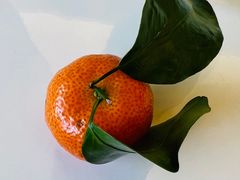 -海逸海鲜酒家(古北店)