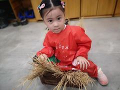 -学知乐教育·幼小衔接·小学科辅导(浦东外高桥森兰中心)