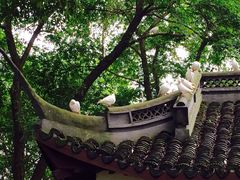 -上海佘山国家森林公园天马山园