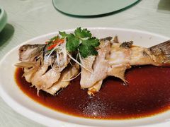 -金蝉食府(维吉奥广场店)