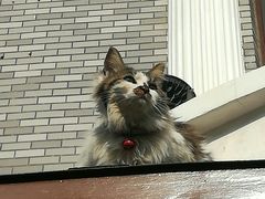 -日本风情街