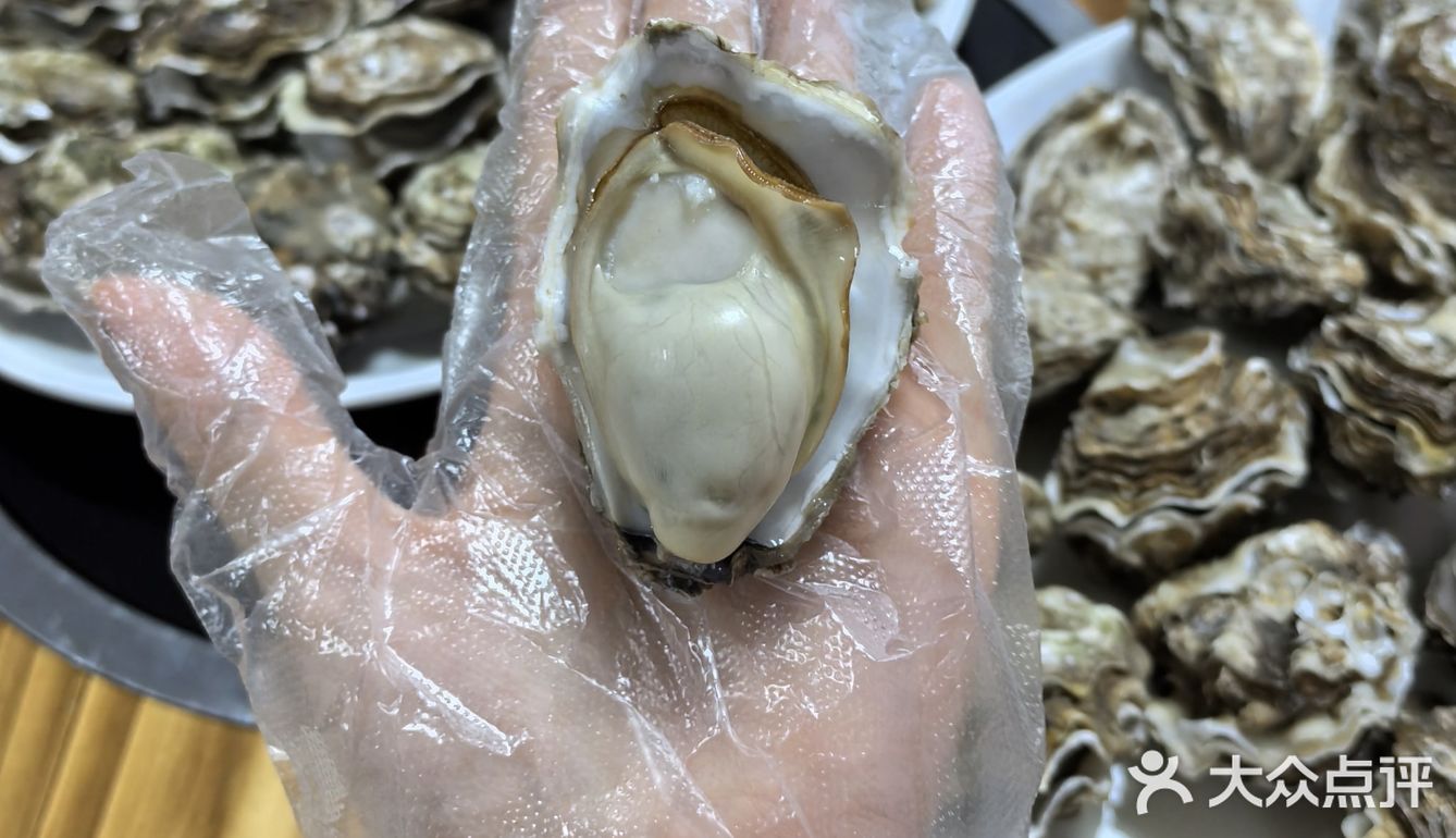 苏岗村里有肥嘟嘟的生蚝吃噢！