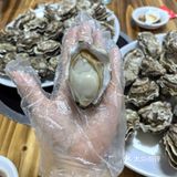 苏岗村里有肥嘟嘟的生蚝吃噢！