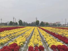 -中国天府农业博览园