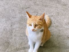 -隹木咖啡馆(宝龙广场店)