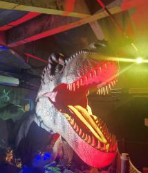 -恐龙探索乐园(磁器口店)